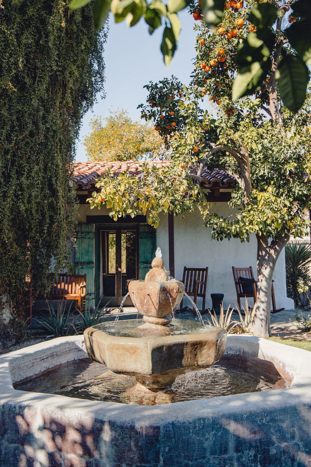 Courtyard and gardens at Casa Cody in Palm Springs